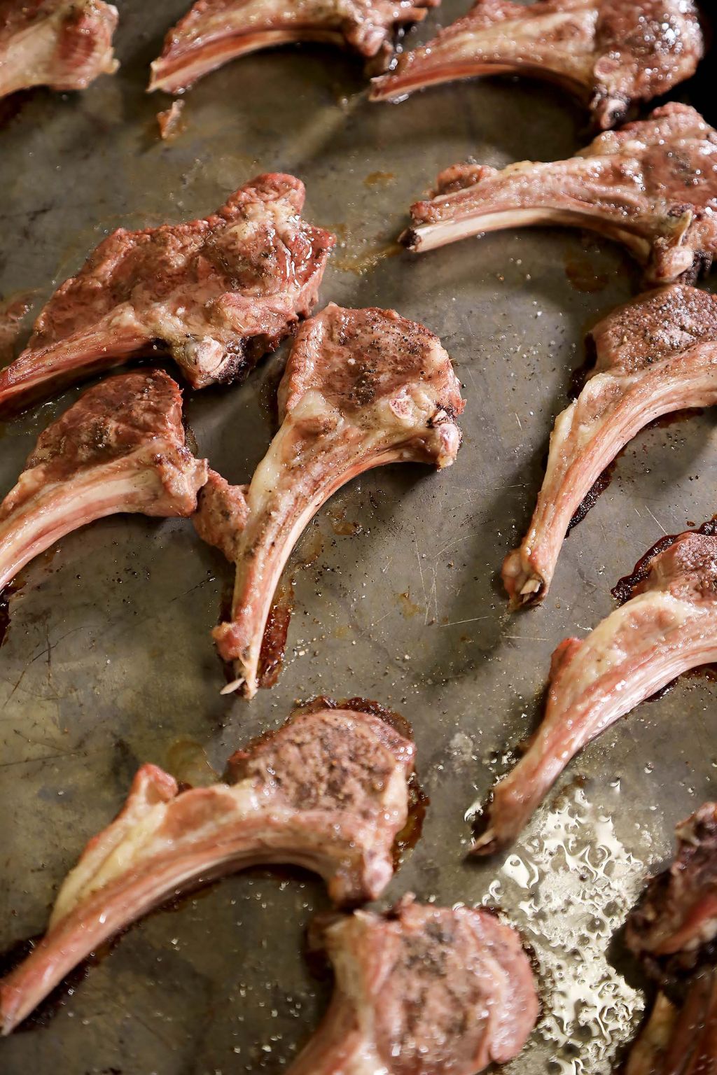 lamb chops in the oven