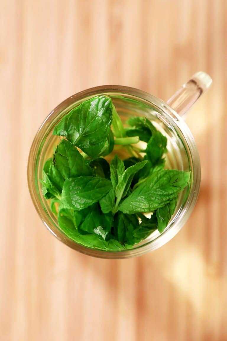 How to Make Mint Tea