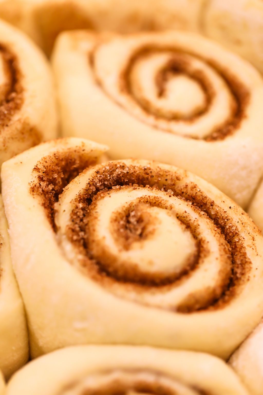 sourdough cinnamon rolls