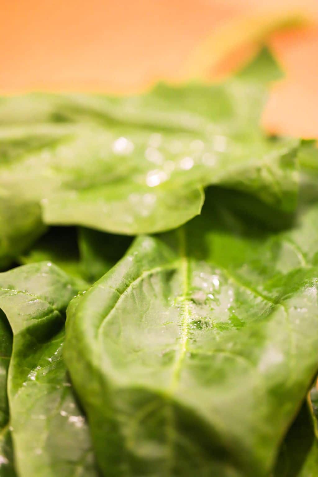 how to freeze spinach