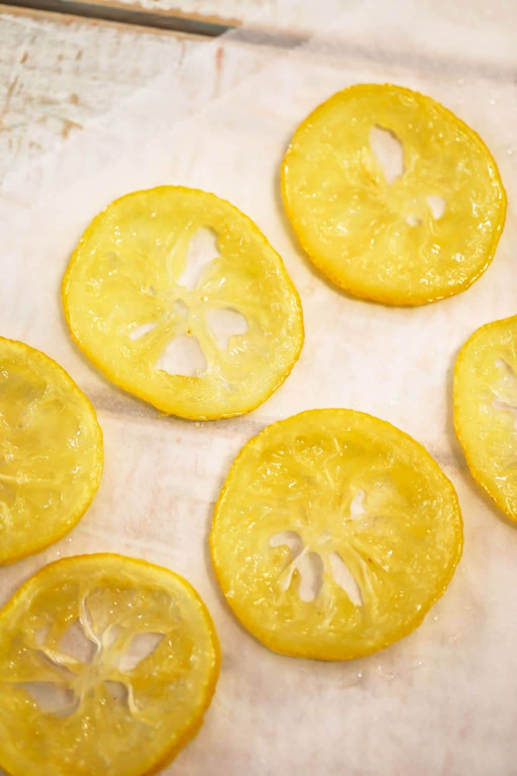 Garniche Dried Lemon Round Case