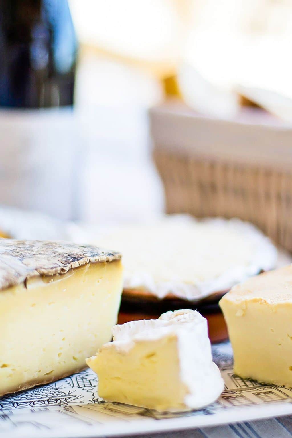 Types of Cheese: An Easy Guide