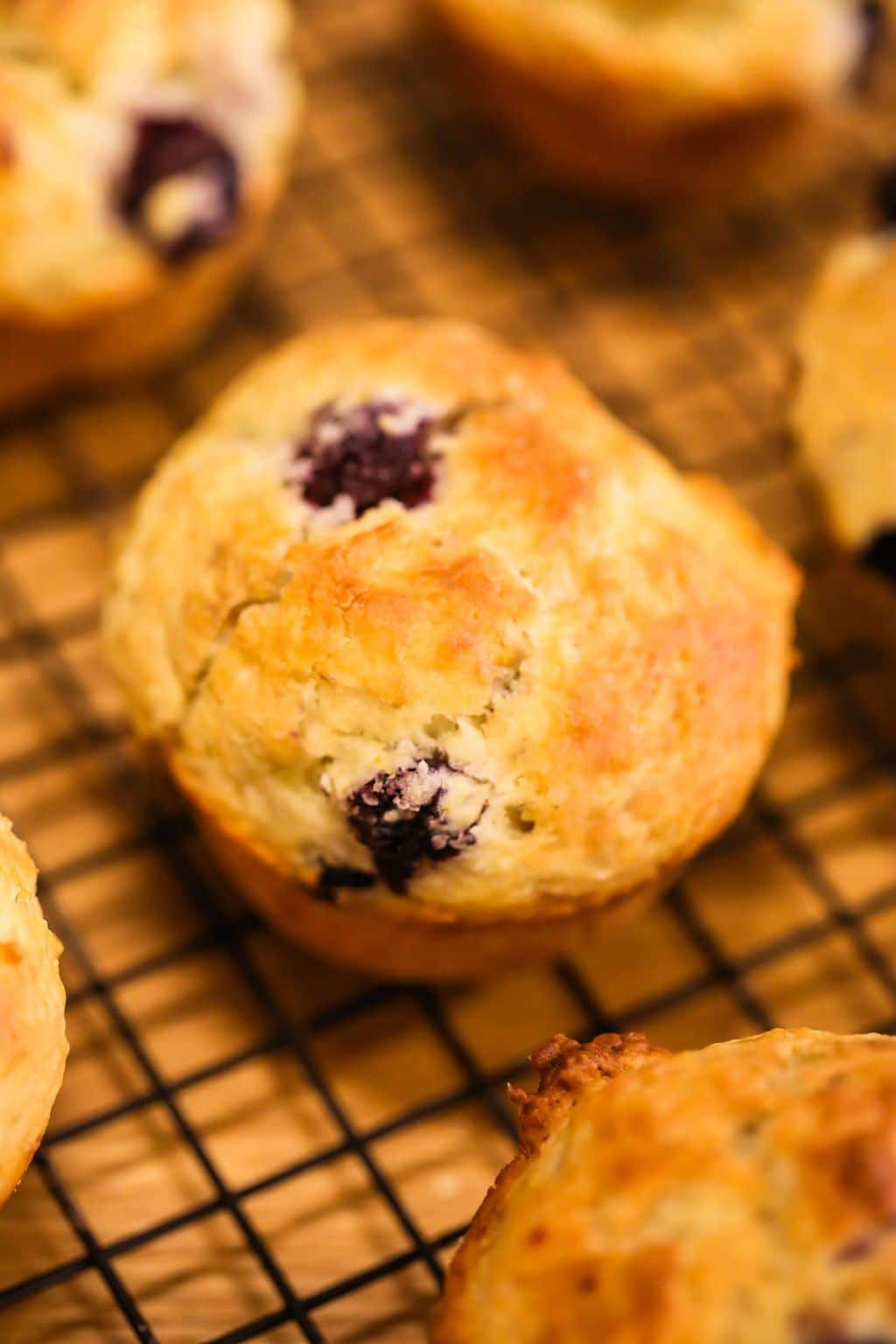 easy blueberry muffins