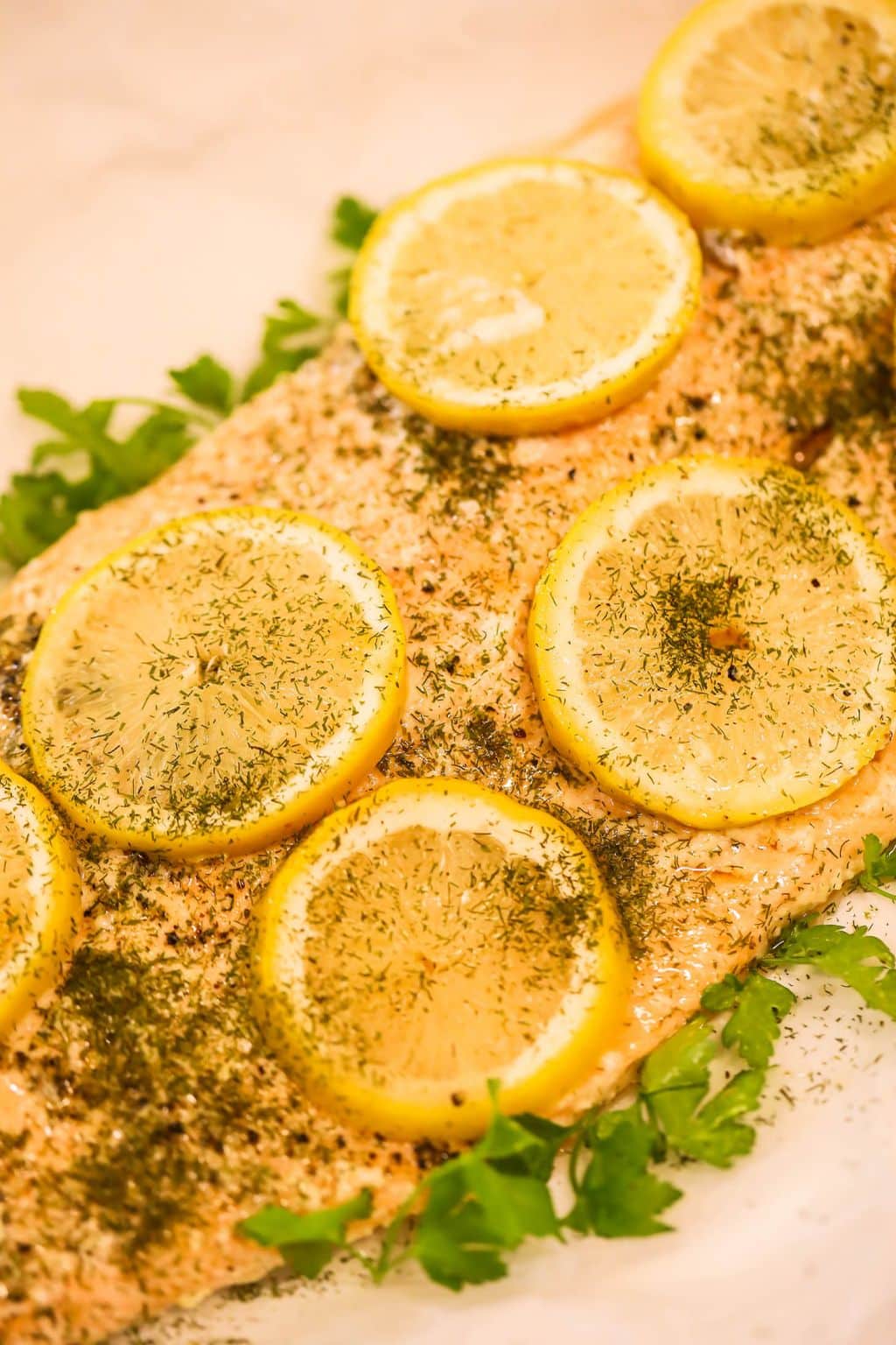 lemon salmon