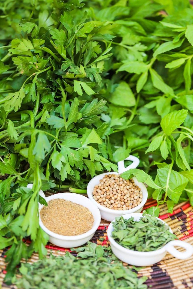 Fresh vs Dried Herbs – A Guide