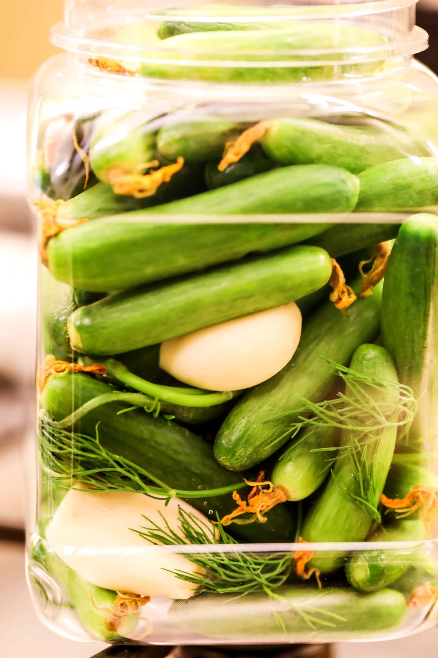 Pickled Cucumbers